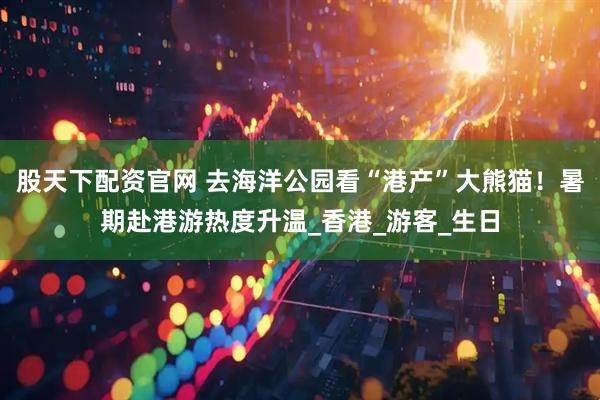 股天下配资官网 去海洋公园看“港产”大熊猫！暑期赴港游热度升温_香港_游客_生日