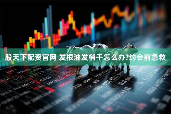 股天下配资官网 发根油发梢干怎么办?约会前急救