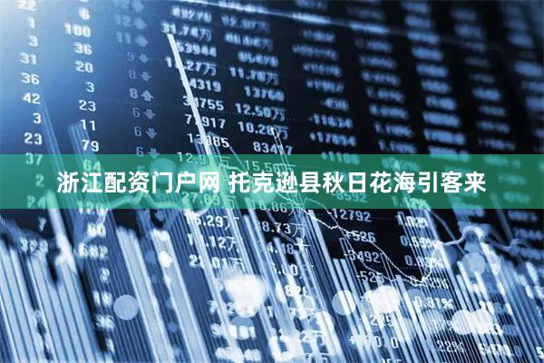 浙江配资门户网 托克逊县秋日花海引客来