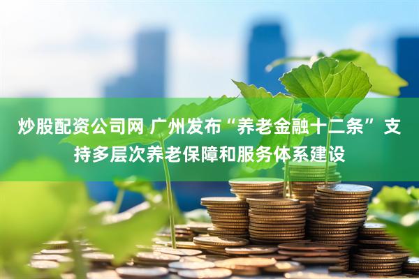 炒股配资公司网 广州发布“养老金融十二条” 支持多层次养老保障和服务体系建设